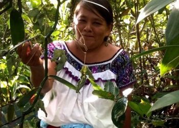 PNUD anuncia los 5 ganadores del Fondo de Aceleración para la Bioeconomía