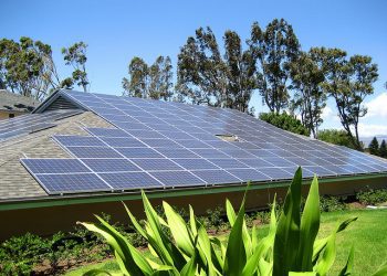 Shell y Island Green Power impulsan generación solar en Reino Unido para empresas y consumidores