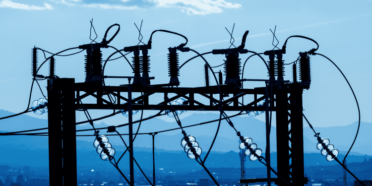 Mercado Eléctrico Mayorista (MEM): cuántas empresas participan en 2021