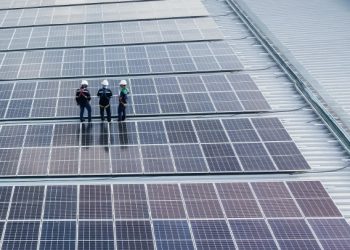 Compra-venta de paneles solares robados desvirtúa el mercado: Amara-e