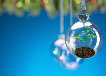 Verde Navidad: 4 acciones sustentables en las fiestas de diciembre