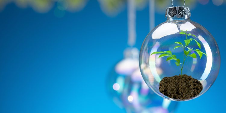 Verde Navidad: 4 acciones sustentables en las fiestas de diciembre