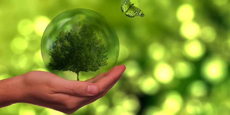 Bonos Verdes 2021: 16 empresas premiadas en el foro de Finanzas Sustentables #FSMX21