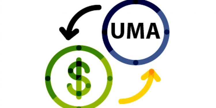 Valor de la UMA en el 2021: 96.22 pesos diarios