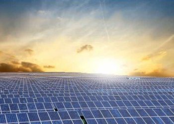 SUNCAST suma nuevos accionistas; Fundación Chile compra el 7%