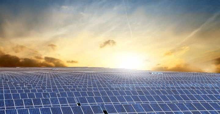 SUNCAST suma nuevos accionistas; Fundación Chile compra el 7%