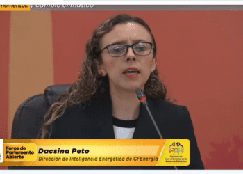 Privados se han apropiado del 25% de las mejores tierras para generación eólica: CFE