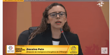 Privados se han apropiado del 25% de las mejores tierras para generación eólica: CFE