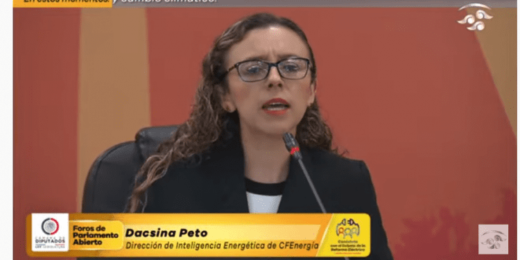 Privados se han apropiado del 25% de las mejores tierras para generación eólica: CFE