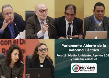 Agenda 2030 plantea la Hoja de Ruta para la sostenibilidad; CFE, el líder de la  transición energética, pero no tiene dinero