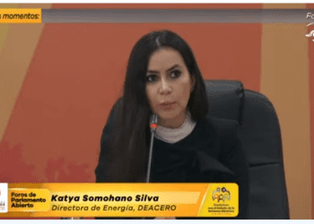 Porteo de autoabastos solo representa 3% del total del uso de la red