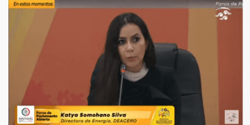 Porteo de autoabastos solo representa 3% del total del uso de la red