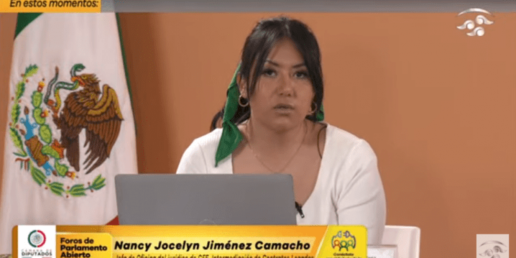 Poder Judicial carece de conocimiento del mercado eléctrico: CFE