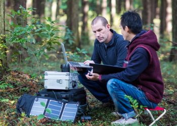 IBM apoyará el desarrollo de soluciones sostenibles y energía limpia para organizaciones sin fines de lucro