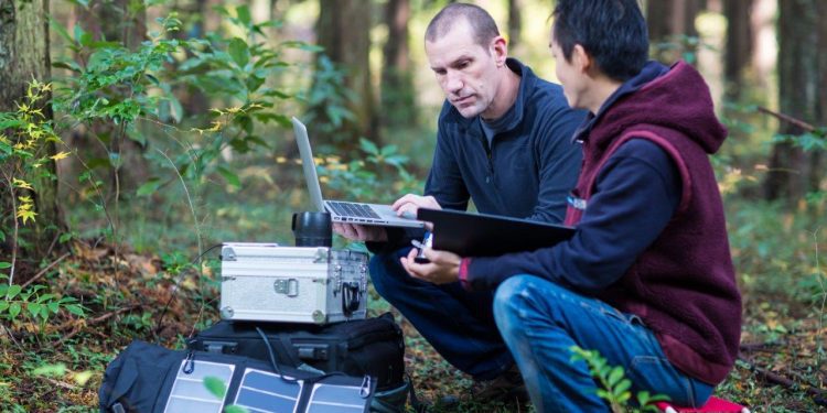 IBM apoyará el desarrollo de soluciones sostenibles y energía limpia para organizaciones sin fines de lucro