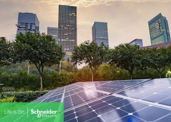 14 de febrero: Día del Amor y la Amistad y Día Mundial de la Energía