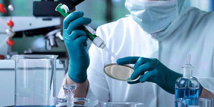 Bayer invita a los investigadores a presentar nuevos compuestos para protección de cultivos – Programa Testing4Ag