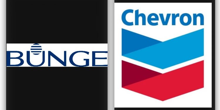 Chevron y Bunge confirman empresa para producción de materias primas de combustible renovable