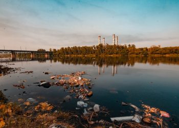 Modelo económico lineal y extractivo han causado degradación medioambiental en LATAM: Fundación Ellen MacArthur
