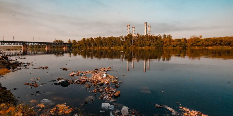 Modelo económico lineal y extractivo han causado degradación medioambiental en LATAM: Fundación Ellen MacArthur