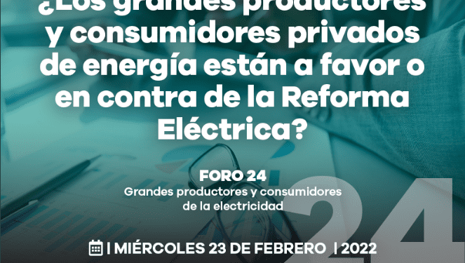 Foro 24: Grandes productores y consumidores de electricidad, 23 de febrero