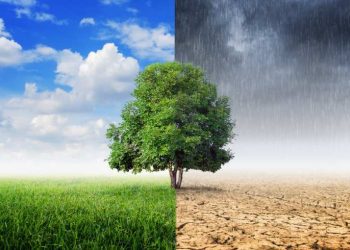 Medio ambiente: cambiar la narrativa y replantear las prioridades