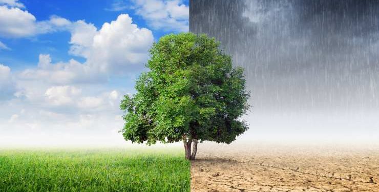 Medio ambiente: cambiar la narrativa y replantear las prioridades