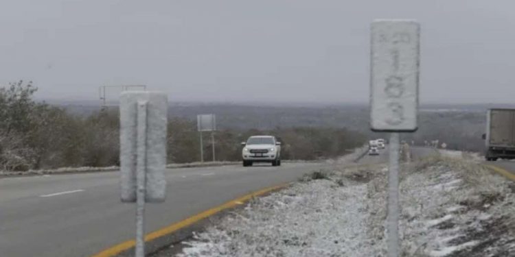 5 acciones de ERCOT para evitar cortes de electricidad en Texas ante olas de frío