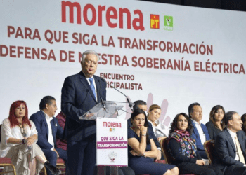 PIEs y autoabustos acaparan a los mayores consumidores de energía: Bartlett