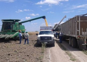 SAT facilita aplicación de estímulo fiscal a combustibles automotrices