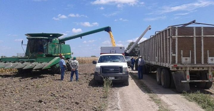 SAT facilita aplicación de estímulo fiscal a combustibles automotrices