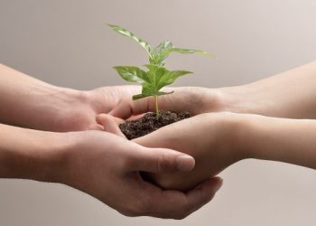 Ecofeminismo, un binomio natural