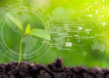 Jóvenes lideran estrategias de sostenibilidad en cuatro de cada 10 empresas en México