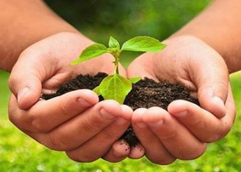 La falta de sistema de medición de contaminantes en estados y municipios limita desarrollo sostenible: Fundación Konrad Adenauer en México