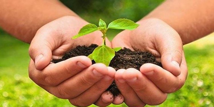 La falta de sistema de medición de contaminantes en estados y municipios limita desarrollo sostenible: Fundación Konrad Adenauer en México