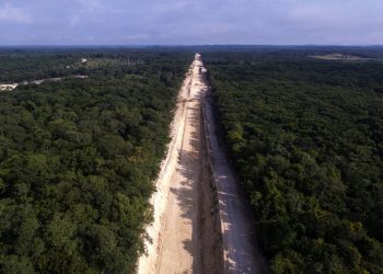Tren Maya y otras obras en riesgo de aplazarse o suspender por falta o deficiencias en la MIA