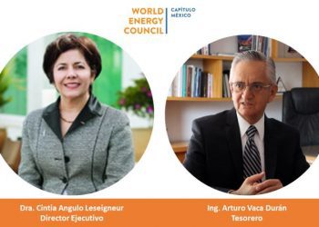 Cintia Angulo Leseigneur es nombrada Directora Ejecutiva del Consejo Mundial de Energía (CMEC