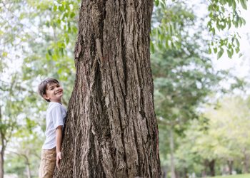 Decálogo para enseñar a los niños a cuidar el medio ambiente