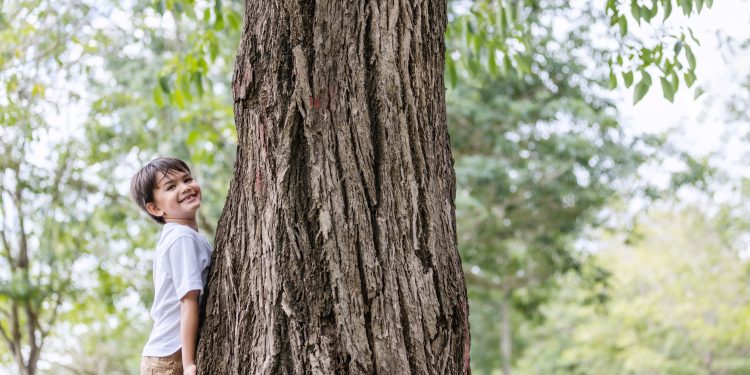 Decálogo para enseñar a los niños a cuidar el medio ambiente