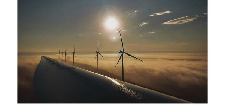 AMDEE lanza 3er concurso nacional de fotografía “Mi vida y el viento”