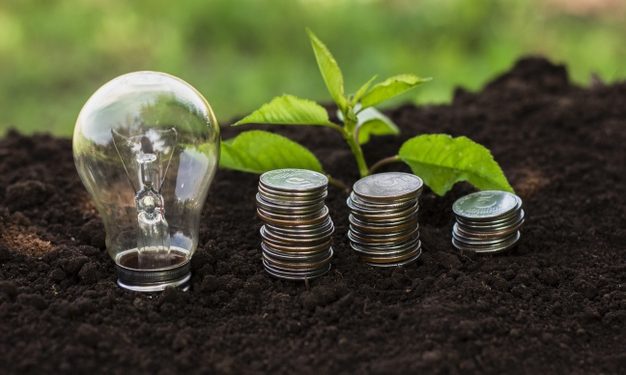 Emisión global de bonos verdes se desacelera en medio del alza de tasas de interés e inflación