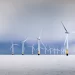 Sector eólico marino vive el mejor año de su historia con 21.1 GW y se prevén más récords: GWEC
