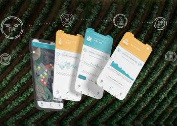 Instacrops, la app para monitorear los campos mexicanos