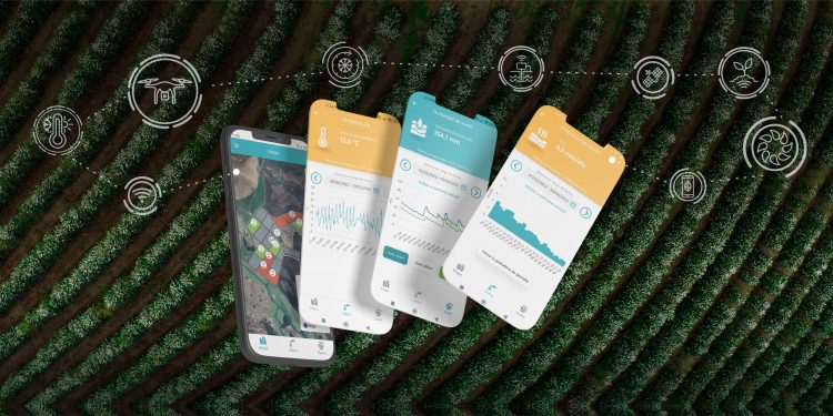 Instacrops, la app para monitorear los campos mexicanos