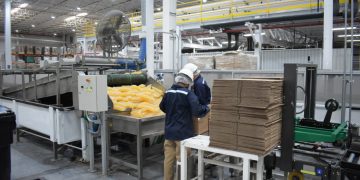 Henkel inaugura nueva planta de adhesivos en Guadalupe, Nuevo León