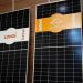 Solarever y LONGi firman acuerdo de 300 MDD en módulos fotovoltaicos