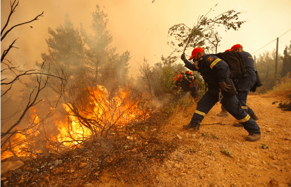 ¿Cómo enfrentar a los Cisnes y no morir en el intento?