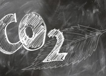 Mercado Internacional de carbono necesita reglas claras