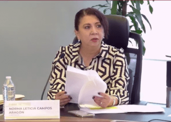 Norma Leticia Campos Aragón repite como Presidenta del Comité Consultivo de Confiabilidad, Código de Red, 2022-2023