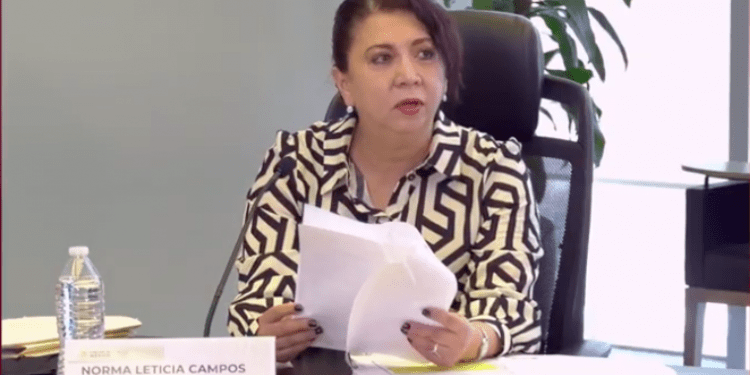 Norma Leticia Campos Aragón repite como Presidenta del Comité Consultivo de Confiabilidad, Código de Red, 2022-2023